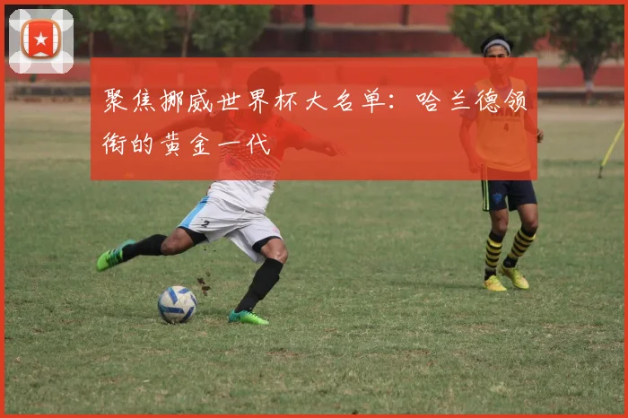 聚焦挪威世界杯大名单：哈兰德领衔的黄金一代